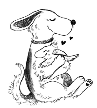 light detail