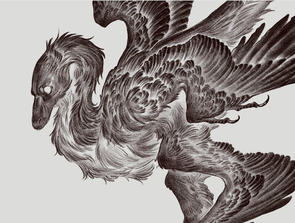 closeup