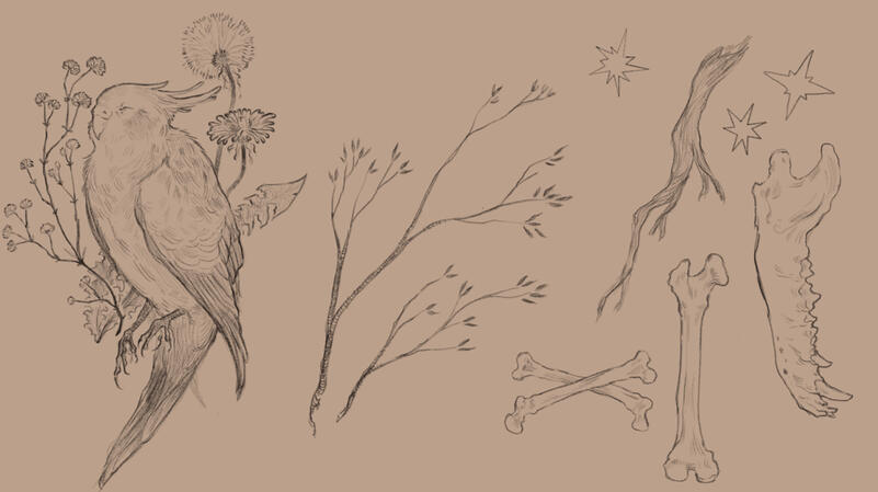 Flash, Detailed