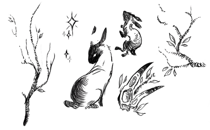 Light Detail
