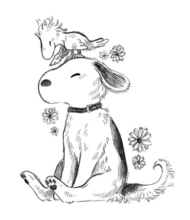 light detail